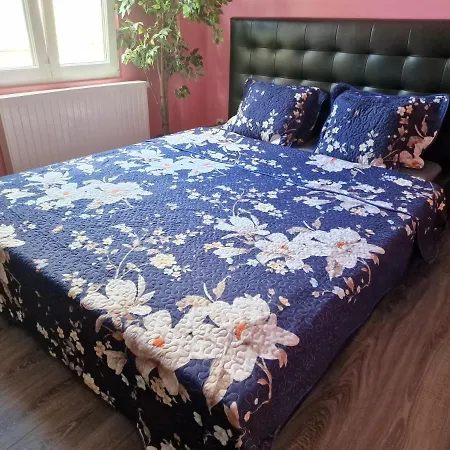 Right Choice Гостевой дом *